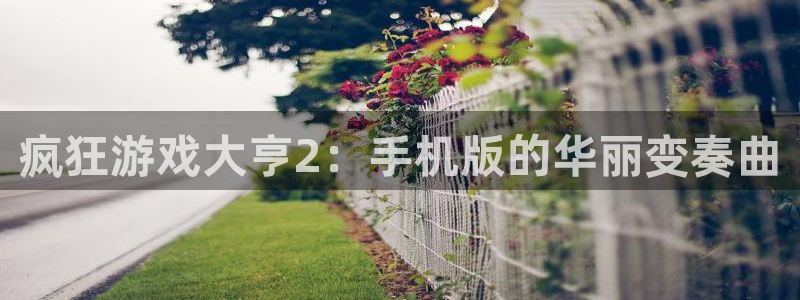 亿万28官网注册平台怎么注册的：疯狂游戏大亨2：手机版的华丽变奏曲
