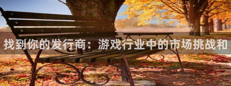 亿万28电子科技股票：找到你的发行商：游戏行业中的市场挑战和