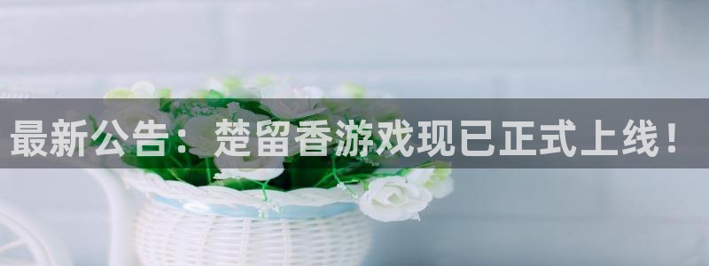 亿万28官网客服怎么样：最新公告：楚留香游戏现已正式上线！