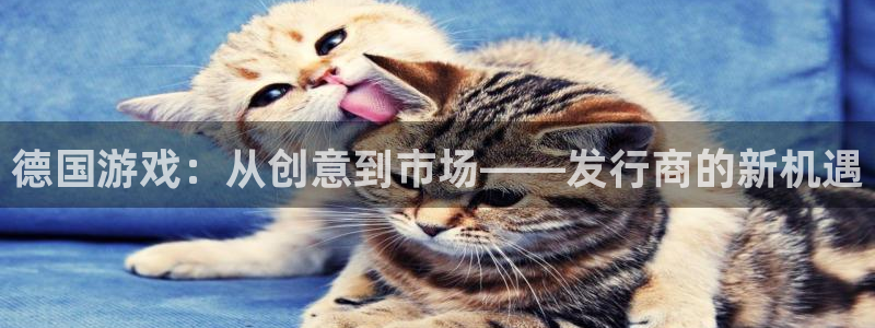 亿万28仓储中心：德国游戏：从创意到市场——发行商的新机遇