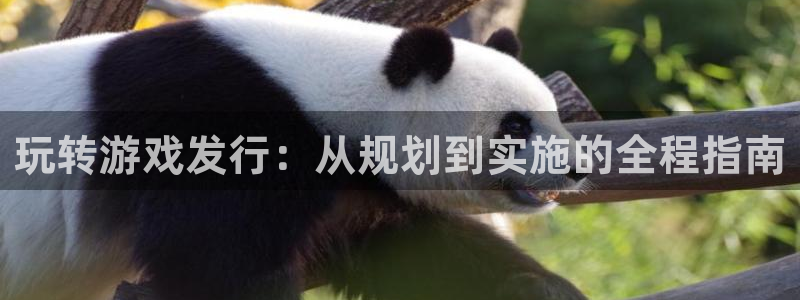 亿万28超纯啤酒怎么样