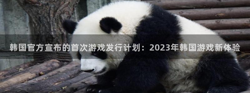 亿万28子文化：韩国官方宣布的首次游戏发行计划：2023年韩国游戏新体验