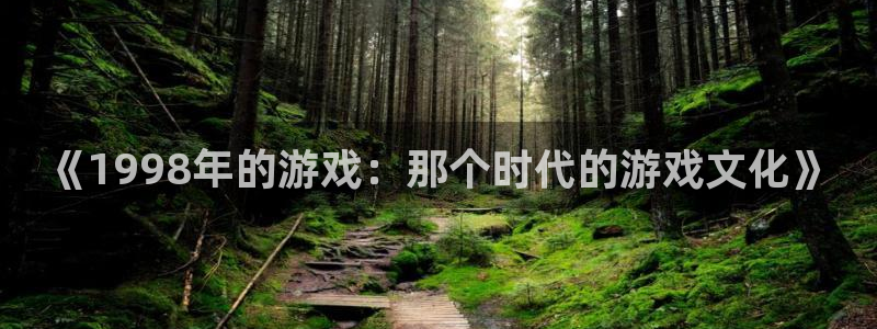 亿万28官网登录注册账号是什么意思：《1998年的游戏：那个时代的游戏文化》