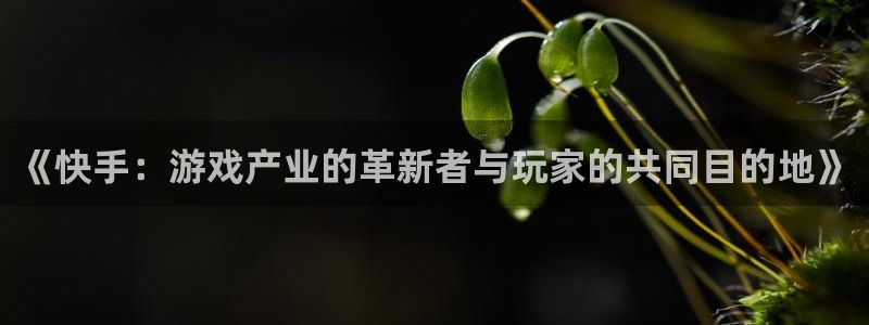 亿万28官网下载分分彩：《快手：游戏产业的革新者与玩家的共同目的地》