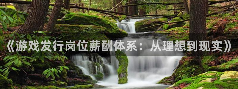 亿万28官网分分彩：《游戏发行岗位薪酬体系：从理想到现实》