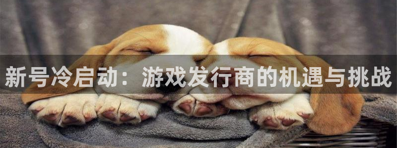 东莞亿万28信息科技有限公司：新号冷启动：游戏发行商的机遇与挑战