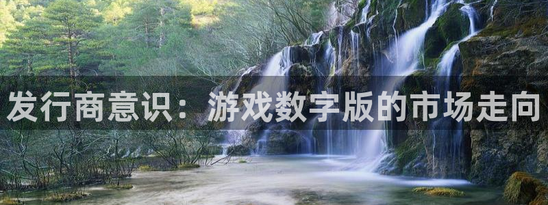 亿万28集团董事长刘一辰简历：发行商意识：游戏数字版的市场走向