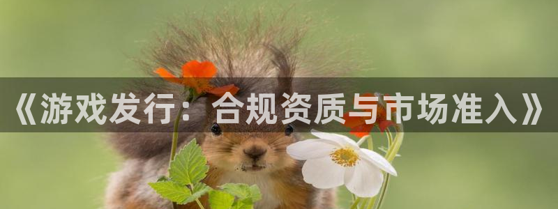 亿万28官网解绑银行卡怎么操作：《游戏发行：合规资质与市场准入》